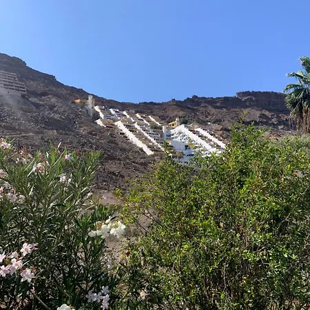 French Connection * Mogan