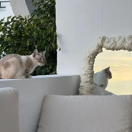 Hostel French Connection