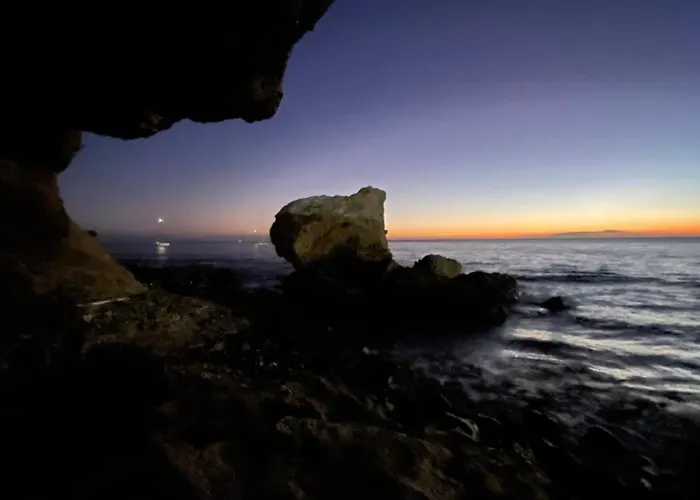 אכסניה French Connection