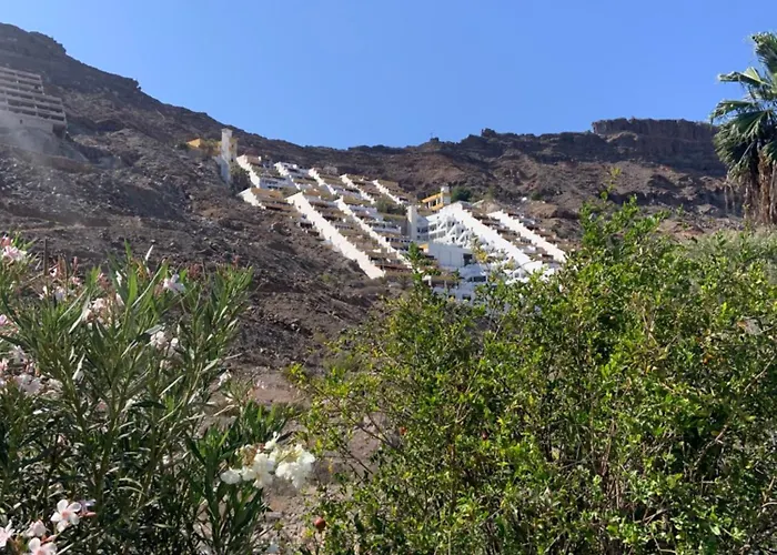 French Connection * Mogan